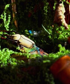 Alternative view of Jardin Suspendu – Diorama sous dôme