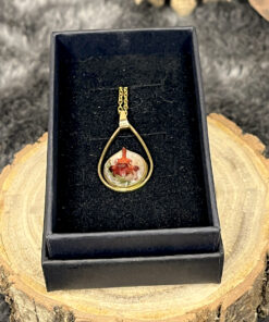 Naiwë – Murmure des Racines