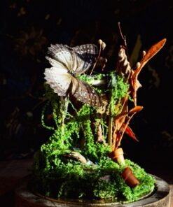 Jardin Suspendu – Diorama sous dôme