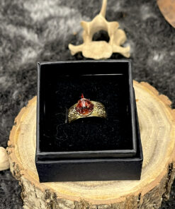 Carnelossë – Force et aura guerrière