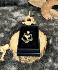 Pendentif Reliqua Dentis –Dent de requin fossile