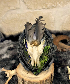 Reliquaire de Corneille – Fragment sacré & forêt profonde