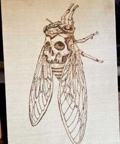Syrphe tête de mort